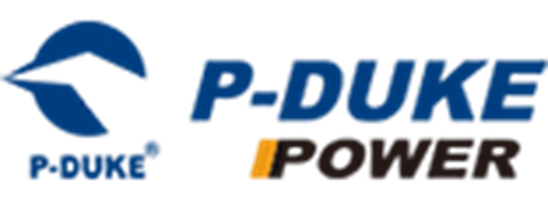 P-DUKE Technology, Inc.