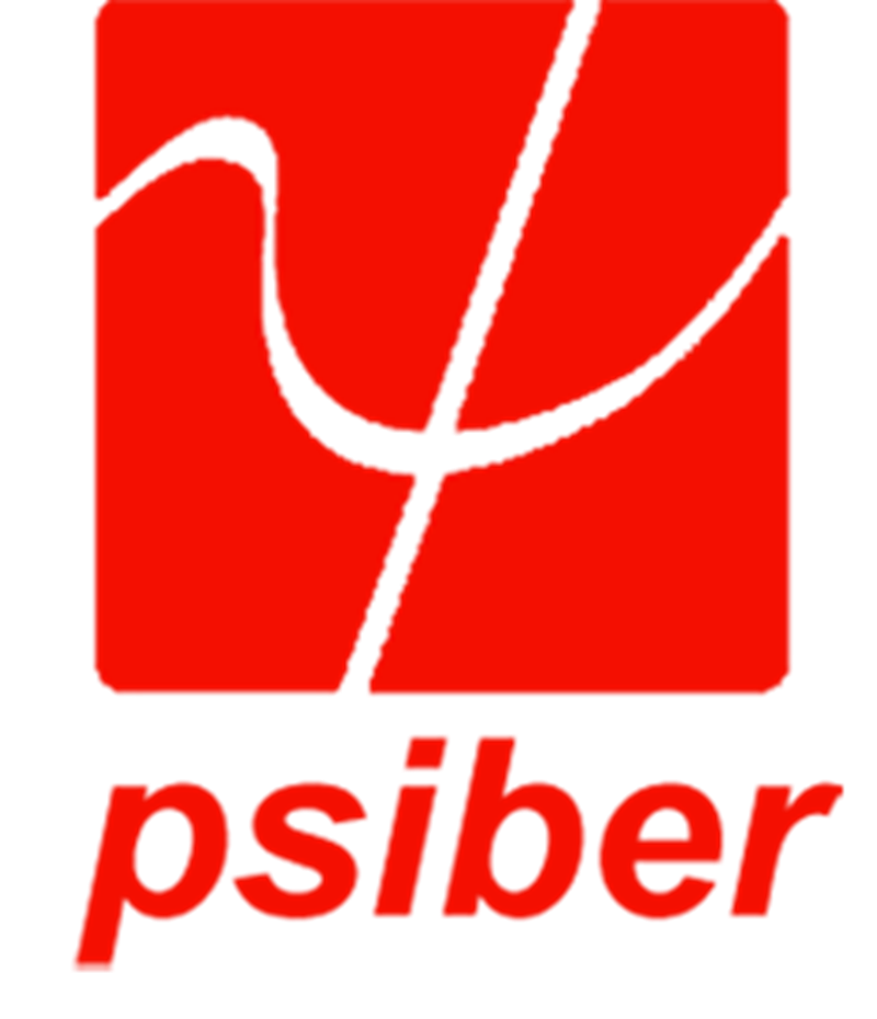 Psiber Data Systems, Inc.